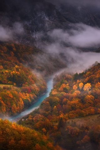 Обои деревья, река, горы, лес, туман, вид сверху, осень, trees, river, mountains, forest, fog, the view from the top, autumn разрешение 2000x1125 Загрузить