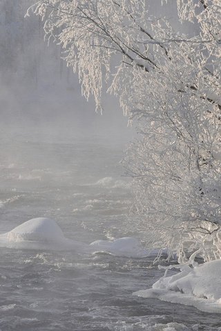 Обои река, снег, природа, дерево, лес, зима, ветки, иней, river, snow, nature, tree, forest, winter, branches, frost разрешение 1920x1200 Загрузить