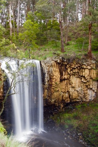 Обои деревья, природа, лес, пейзаж, скала, водопад, обрыв, trees, nature, forest, landscape, rock, waterfall, open разрешение 4055x2922 Загрузить