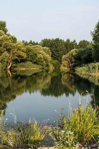 Обои деревья, река, природа, растения, лес, пейзаж, дунай, trees, river, nature, plants, forest, landscape, the danube разрешение 3840x2400 Загрузить