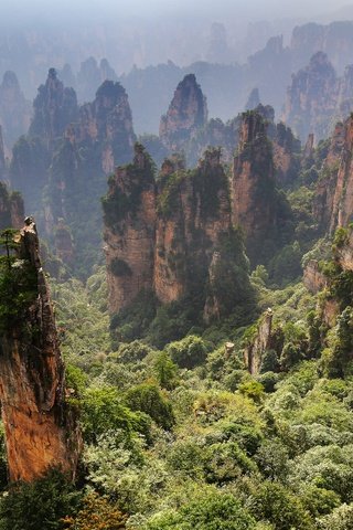 Обои горы, zhangjiajie, zhangjiajie national forest park, скалы, zhangjiajie national park, чжанцзяцзе, природа, пейзаж, утро, туман, китай, национальный парк, mountains, rocks, nature, landscape, morning, fog, china, national park разрешение 5119x3340 Загрузить