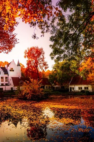 Обои деревья, природа, отражение, осень, дома, пруд, trees, nature, reflection, autumn, home, pond разрешение 3641x2048 Загрузить