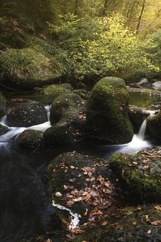 Обои река, природа, лес, ручей, осень, river, nature, forest, stream, autumn разрешение 3840x2400 Загрузить