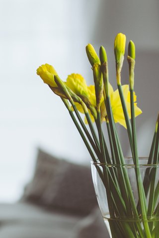 Обои цветы, букет, ваза, нарциссы, желтые, flowers, bouquet, vase, daffodils, yellow разрешение 3840x2400 Загрузить