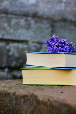 Обои лаванда, стена, книги, кирпичи, чтение, фиолетовые цветы, lavender, wall, books, bricks, reading, purple flowers разрешение 5071x3341 Загрузить