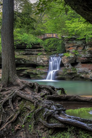 Обои река, скалы, природа, дерево, лес, водопад, корни, river, rocks, nature, tree, forest, waterfall, roots разрешение 3840x2400 Загрузить