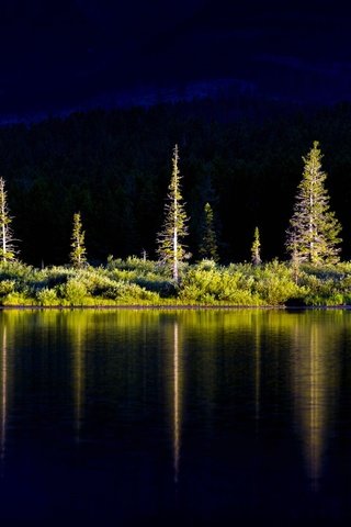 Обои деревья, озеро, горы, природа, лес, отражение, bing, trees, lake, mountains, nature, forest, reflection разрешение 1920x1200 Загрузить