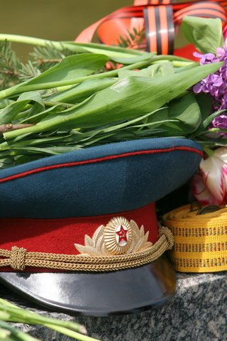 Обои цветы, день победы, фуражка, flowers, victory day, cap разрешение 2560x1600 Загрузить