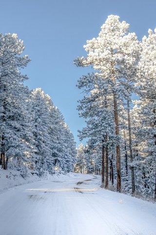 Обои небо, дорога, снег, природа, зима, сша, колорадо,     деревья, the sky, road, snow, nature, winter, usa, colorado, trees разрешение 2000x1379 Загрузить