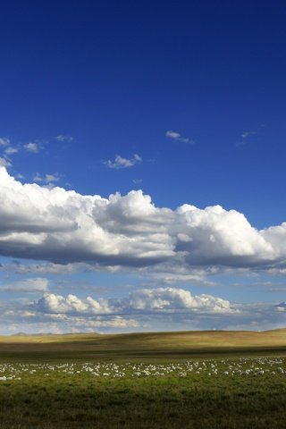 Обои небо, облака, поле, горизонт, голубое небо, the sky, clouds, field, horizon, blue sky разрешение 6000x3375 Загрузить