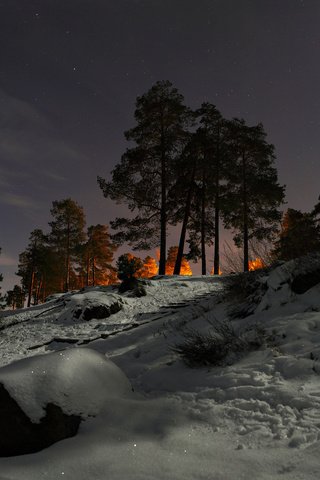 Обои небо, холм, свет,     деревья, облака, ночь, снег, природа, зима, сосны, the sky, hill, light, trees, clouds, night, snow, nature, winter, pine разрешение 1920x1200 Загрузить