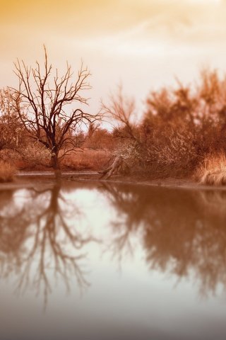 Обои озеро, дерево, отражение, фон, осень, lake, tree, reflection, background, autumn разрешение 2048x1361 Загрузить