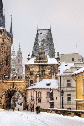 Обои прага, карлов мост, чехия, prague, charles bridge, czech republic разрешение 2560x1440 Загрузить