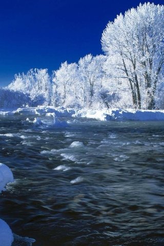 Обои небо, деревья, река, снег, природа, зима, иней, течение, the sky, trees, river, snow, nature, winter, frost, for разрешение 2560x1380 Загрузить