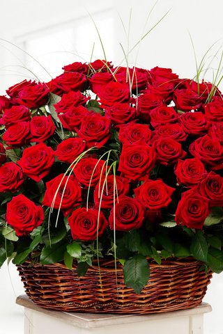Обои цветы, розы, красные, букет, корзинка, flowers, roses, red, bouquet, basket разрешение 2000x1450 Загрузить