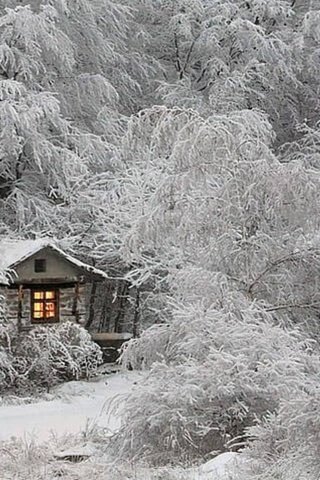 Обои деревья, снег, лес, зима, ветки, иней, домик, окно, trees, snow, forest, winter, branches, frost, house, window разрешение 1920x1080 Загрузить