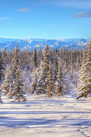 Обои небо, горы, снег, природа, зима, пейзаж, аляска,     деревья, the sky, mountains, snow, nature, winter, landscape, alaska, trees разрешение 4837x3262 Загрузить