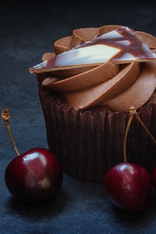 Обои вишня, пирожное, крем, кексик, cherry, cake, cream, cupcake разрешение 2048x1452 Загрузить