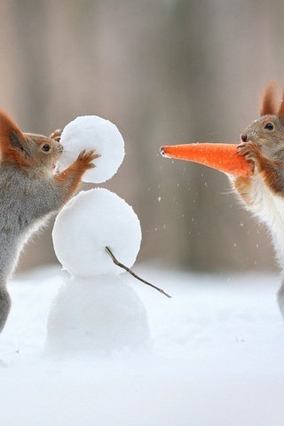 Обои снег, зима, снеговик, юмор, хвост, морковка, белки, белочки, snow, winter, snowman, humor, tail, carrot, proteins, squirrels разрешение 1920x1200 Загрузить