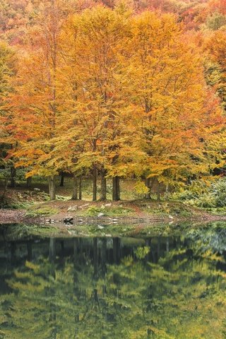 Обои река, природа, лес, отражение, осень, river, nature, forest, reflection, autumn разрешение 1920x1200 Загрузить