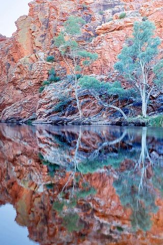 Обои деревья, озеро, горы, скалы, природа, отражение, пейзаж, trees, lake, mountains, rocks, nature, reflection, landscape разрешение 1920x1200 Загрузить