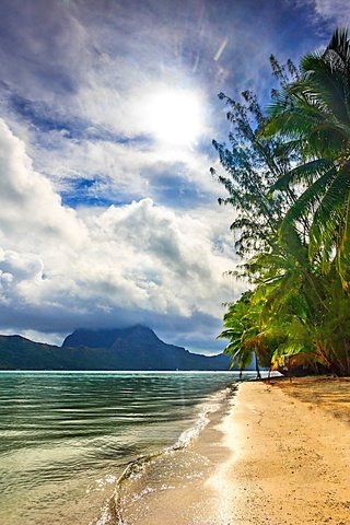 Обои облака, французская полинезия, природа, море, пляж, пальмы, остров, тропики, бора-бора, clouds, french polynesia, nature, sea, beach, palm trees, island, tropics, bora bora разрешение 2048x1365 Загрузить
