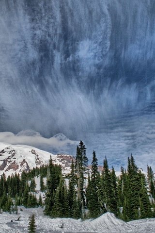 Обои небо, деревья, горы, природа, зима, the sky, trees, mountains, nature, winter разрешение 1920x1285 Загрузить