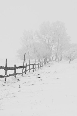 Обои дорога, деревья, снег, зима, мороз, забор, метель, road, trees, snow, winter, frost, the fence, blizzard разрешение 3780x2699 Загрузить