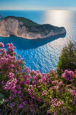 Обои цветы, скалы, море, побережье, греция, бухта навайо, navagio beach, остров закинф, навайо, shipwreck, flowers, rocks, sea, coast, greece, bay of navagio, island of zakynthos разрешение 1920x1089 Загрузить