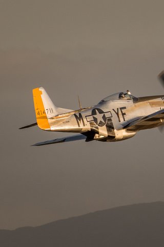 Обои полет, истребитель, мустанг, p-51, flight, fighter, mustang, the p-51 разрешение 4766x2681 Загрузить