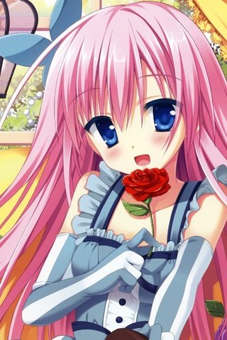 Обои цветок, роза, красивая, sugoi, hana, japanse, каваи, бисёдзё, flower, rose, beautiful, kawaii, bisize разрешение 2224x1924 Загрузить