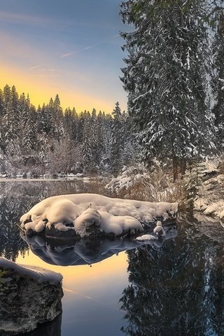 Обои деревья, пейзаж, озеро, река, снег, природа, лес, зима, отражение, trees, landscape, lake, river, snow, nature, forest, winter, reflection разрешение 1920x1200 Загрузить