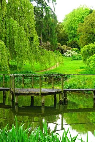 Обои деревья, река, мостик, парк, лето, англия, trees, river, the bridge, park, summer, england разрешение 3900x2600 Загрузить