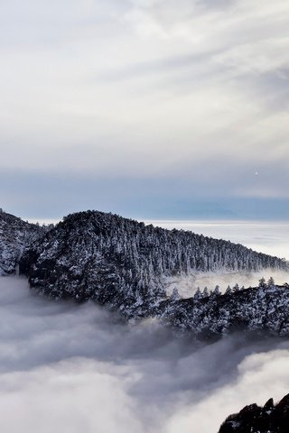 Обои скалы, природа, лес, зима, пейзаж, туман, rocks, nature, forest, winter, landscape, fog разрешение 1920x1200 Загрузить