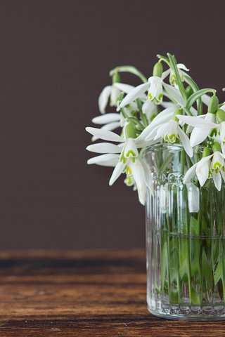 Обои цветы, весна, ваза, подснежники, flowers, spring, vase, snowdrops разрешение 2880x1800 Загрузить