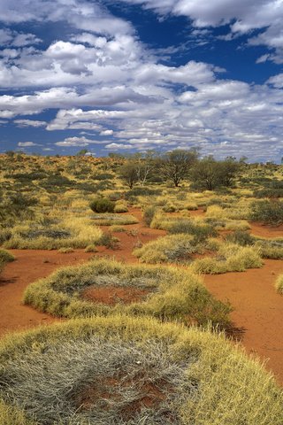 Обои небо, трава, облака, пустыня, австралия, кольца, the sky, grass, clouds, desert, australia, ring разрешение 1920x1200 Загрузить