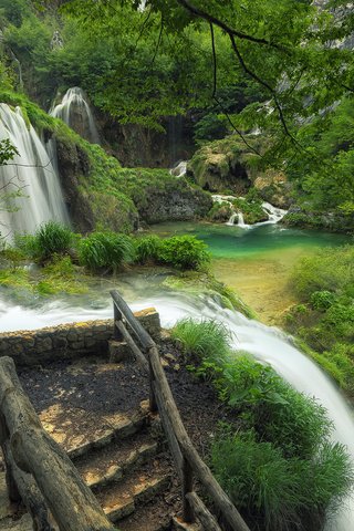 Обои деревья, река, лестница, ступеньки, пейзаж, водопад, хорватии, plitvice lakes national park, национальный парк плитвицкие озера, trees, river, ladder, steps, landscape, waterfall, croatia разрешение 1920x1200 Загрузить