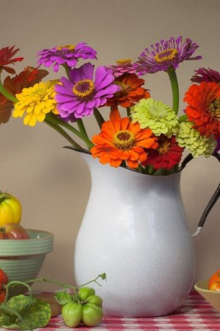 Обои цветы, букет, овощи, кувшин, помидоры, натюрморт, цинния, flowers, bouquet, vegetables, pitcher, tomatoes, still life, zinnia разрешение 2000x1265 Загрузить