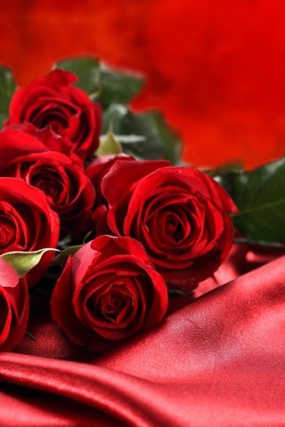 Обои розы, ткань, букет, шелк,  цветы, красные розы, roses, fabric, bouquet, silk, flowers, red roses разрешение 5000x3081 Загрузить
