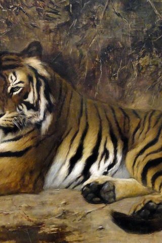 Обои тигр, картина, кошка, животное, жан-леон жером, tiger, picture, cat, animal, jean-leon gerome разрешение 2350x1533 Загрузить