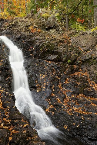 Обои деревья, листья, скала, водопад, осень, поток, trees, leaves, rock, waterfall, autumn, stream разрешение 1920x1200 Загрузить