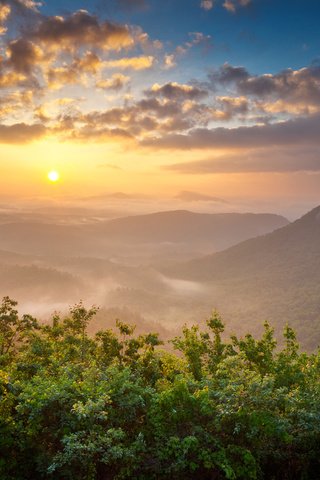 Обои небо, облака, деревья, горы, солнце, лес, закат, the sky, clouds, trees, mountains, the sun, forest, sunset разрешение 3840x2400 Загрузить