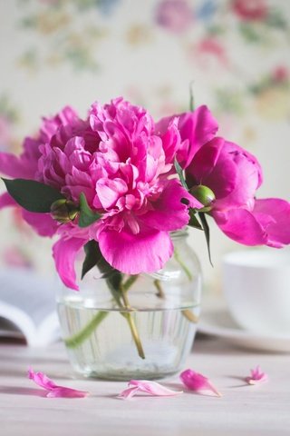 Обои цветы, лепестки, розовые, букетик, пионы, flowers, petals, pink, a bunch, peonies разрешение 1920x1200 Загрузить