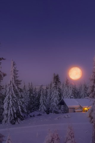 Обои небо, свет, деревья, снег, лес, зима, луна, дом, the sky, light, trees, snow, forest, winter, the moon, house разрешение 1920x1200 Загрузить