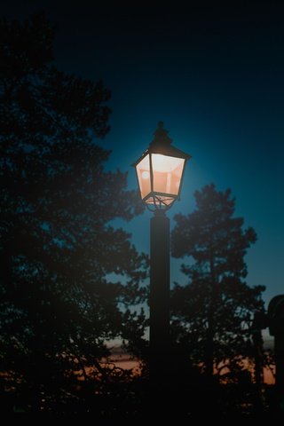 Обои свет, ночь, деревья, улица, фонарь, столб, light, night, trees, street, lantern, post разрешение 6480x4320 Загрузить