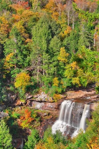 Обои деревья, лес, водопад, осень, trees, forest, waterfall, autumn разрешение 4000x2667 Загрузить