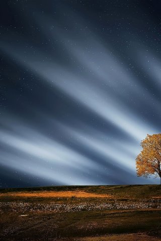 Обои ночь, природа, дерево, пейзаж, звезды, луна, night, nature, tree, landscape, stars, the moon разрешение 1920x1249 Загрузить