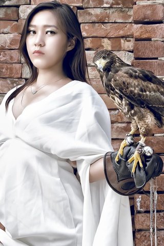 Обои девушка, поза, взгляд, птица, волосы, азиатка, сокол, girl, pose, look, bird, hair, asian, falcon разрешение 2048x1291 Загрузить