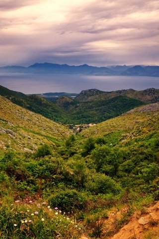 Обои небо, lakones, цветы, трава, облака, горы, холмы, греция, керкира, the sky, flowers, grass, clouds, mountains, hills, greece, corfu разрешение 2048x1356 Загрузить