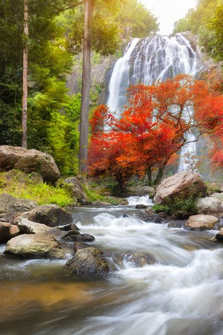 Обои река, природа, лес, водопад, осень, поток, таиланд, patrick foto, канчанабури, kanchanaburi, river, nature, forest, waterfall, autumn, stream, thailand разрешение 1920x1080 Загрузить